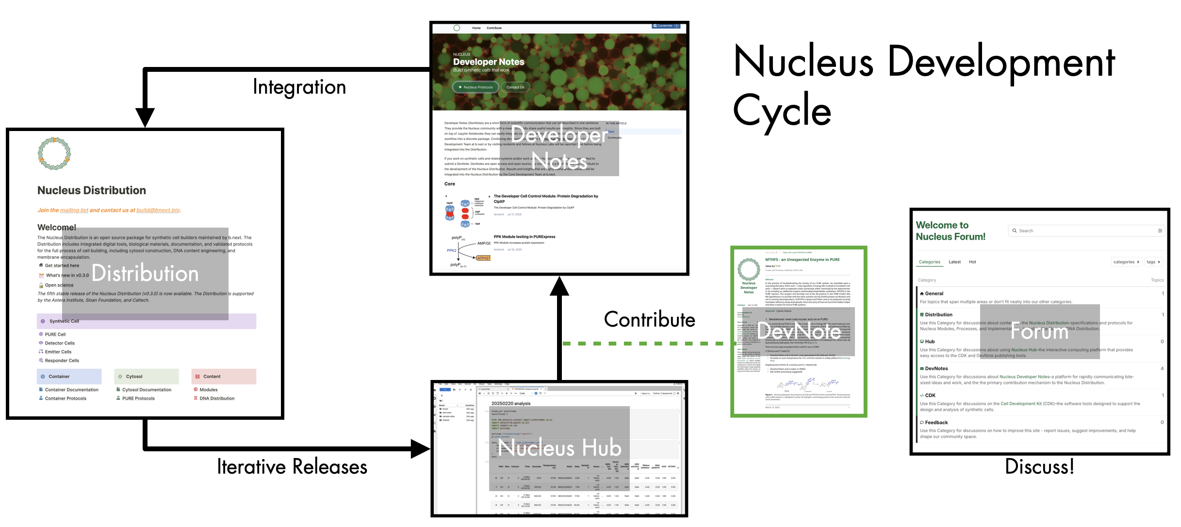 The Nucleus Development Cycle. All components of the Nucleus platform work together to support the collaborative development of increasingly reliable and sophisticated synthetic cells. The Distribution (this site) is a knowledge base that contains protocols and  documentation for implementing validated synthetic cell modules. The Hub provides a resource for data sharing, analysis using standard digital tools. Useful results can be shared with the community as DevNotes. DevNotes can be viewed on the Developer Note website. Periodically, contributions made as Devnotes are integrated into the Distribution as validated protocols for others to use and build upon. All components of the platform can be discussed at the Forum, come say hello!