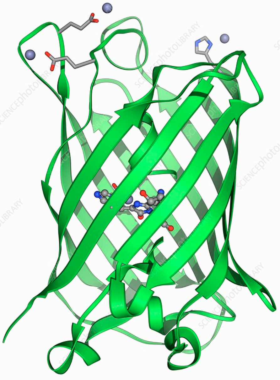 This is a schematic of the module.